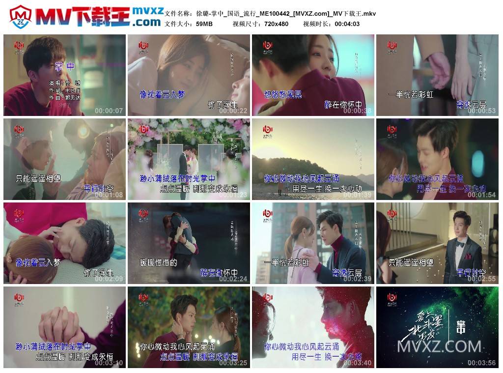 徐璐-掌中_国语_流行_ME100442